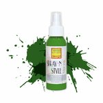 Spray`n Style/Fashion Fashion Spray für Textilien - Grün - 100 ml