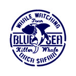 Foliendesign - Logo Wale - Nachtblau